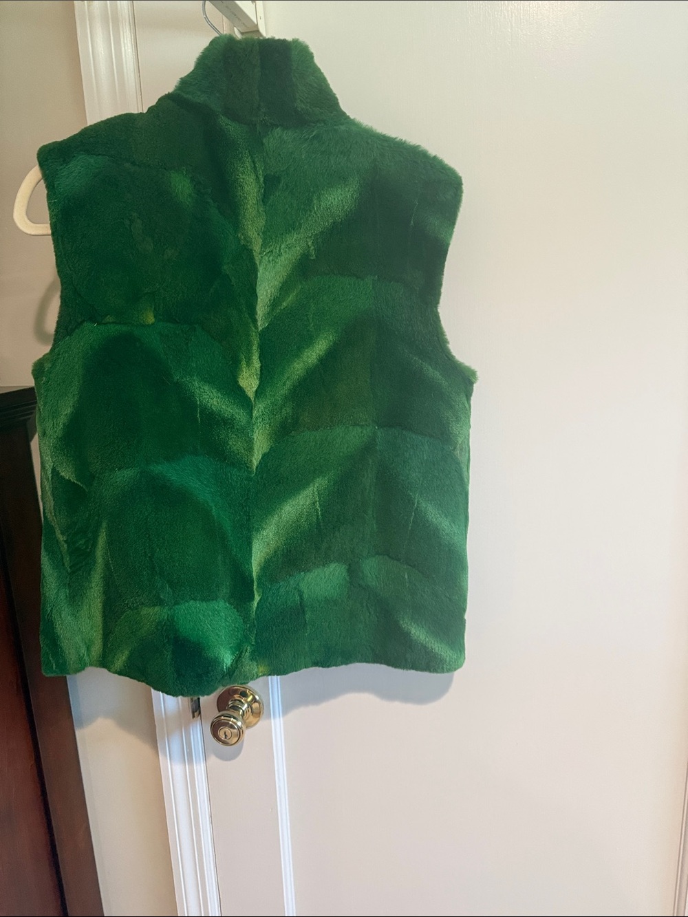 Emerald Green Cayote Fur Vest - Picture 2 of 3